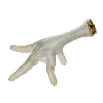 Anco Naturals Chicken Feet Puffed 80g 