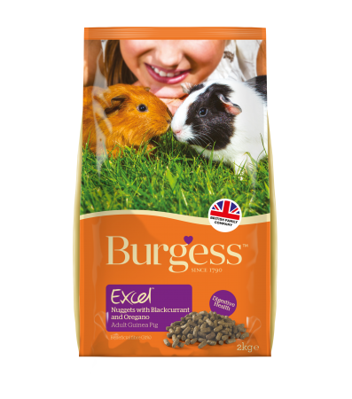 Burgess Excel Guinea Pig Blackcurrant & Oregano 2kg