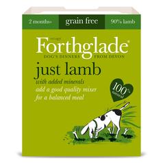 Forthglade Grainfree Just Lamb