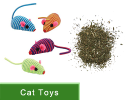 Cat Toys and Catnip